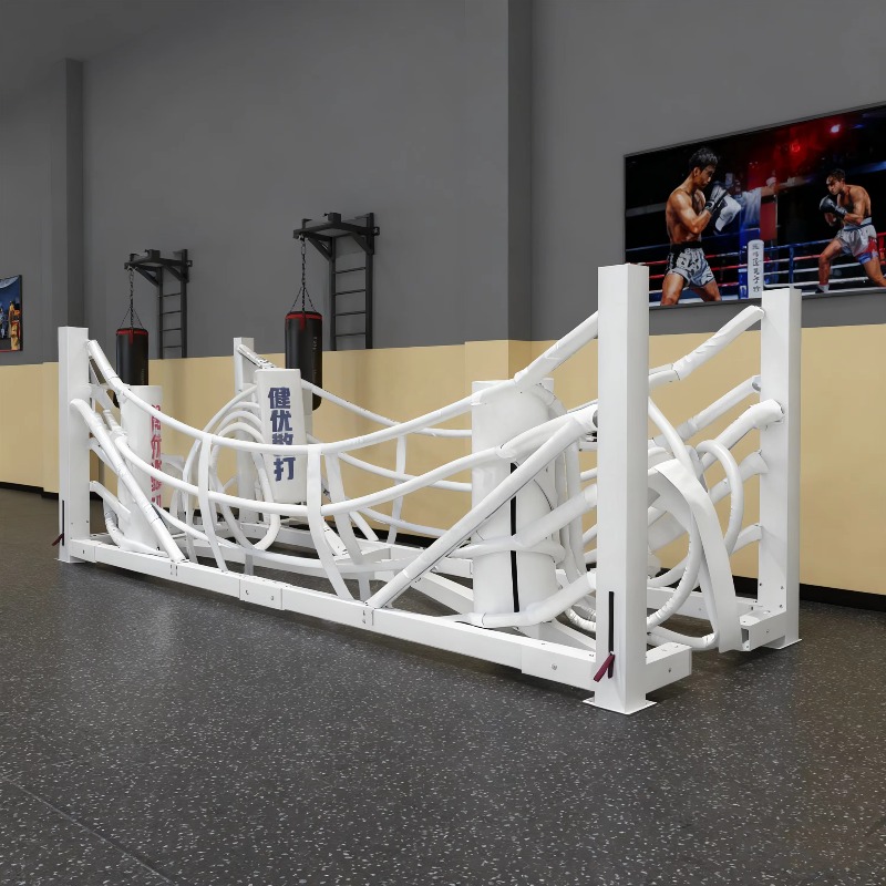 Foldable Gym Boxing Ring Set S - Home Gym Set recension och pris
