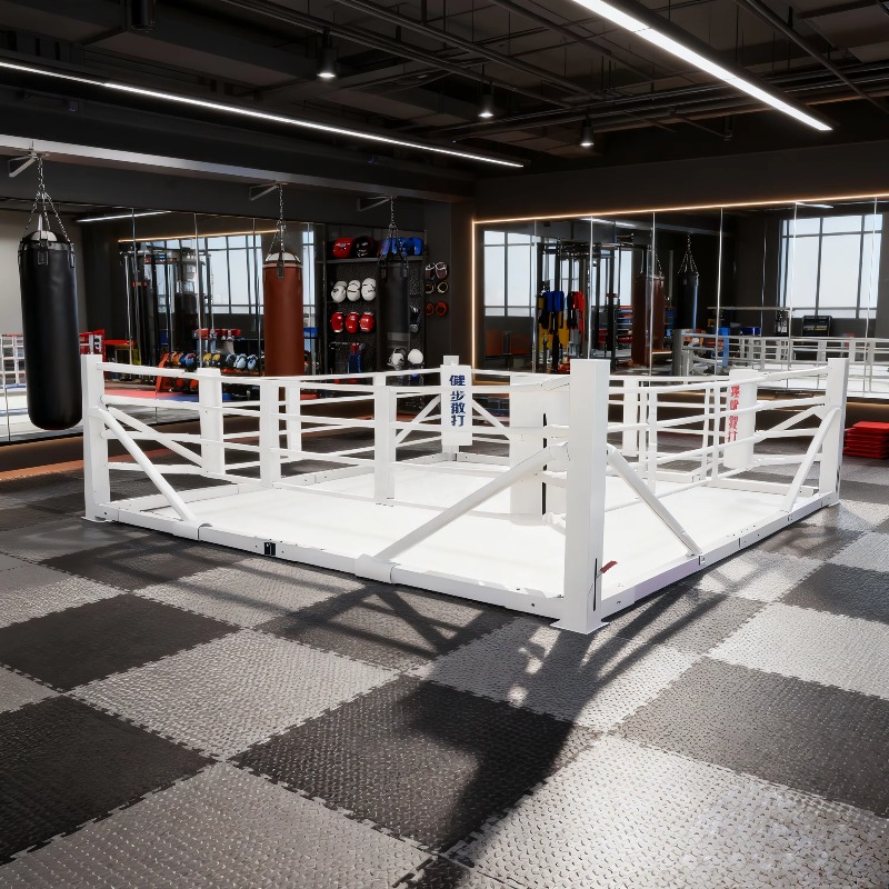 Foldable Gym Boxing Ring Set S - Home Gym Set recension och pris