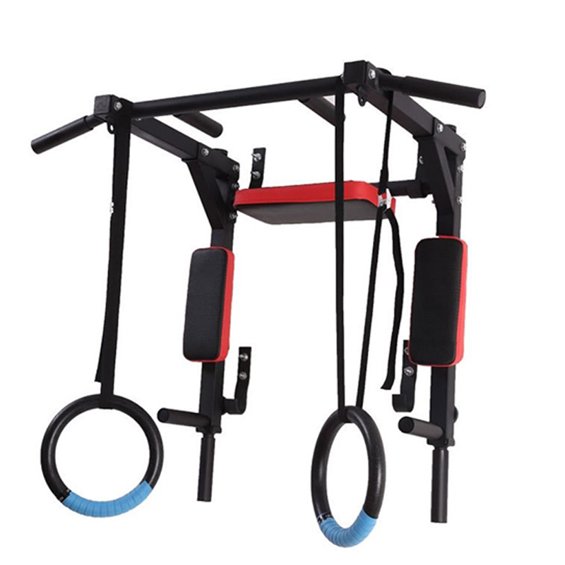 Heavy Duty Wall Mounted Parall - Home Gym Wall Mounted recension och pris