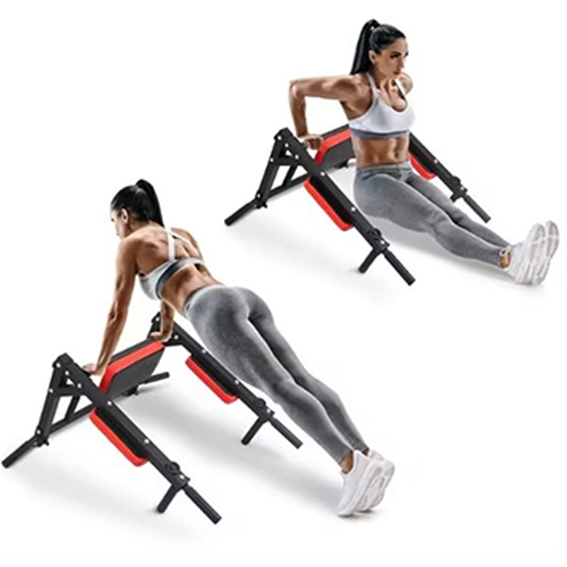 Heavy Duty Wall Mounted Parall - Home Gym Wall Mounted recension och pris