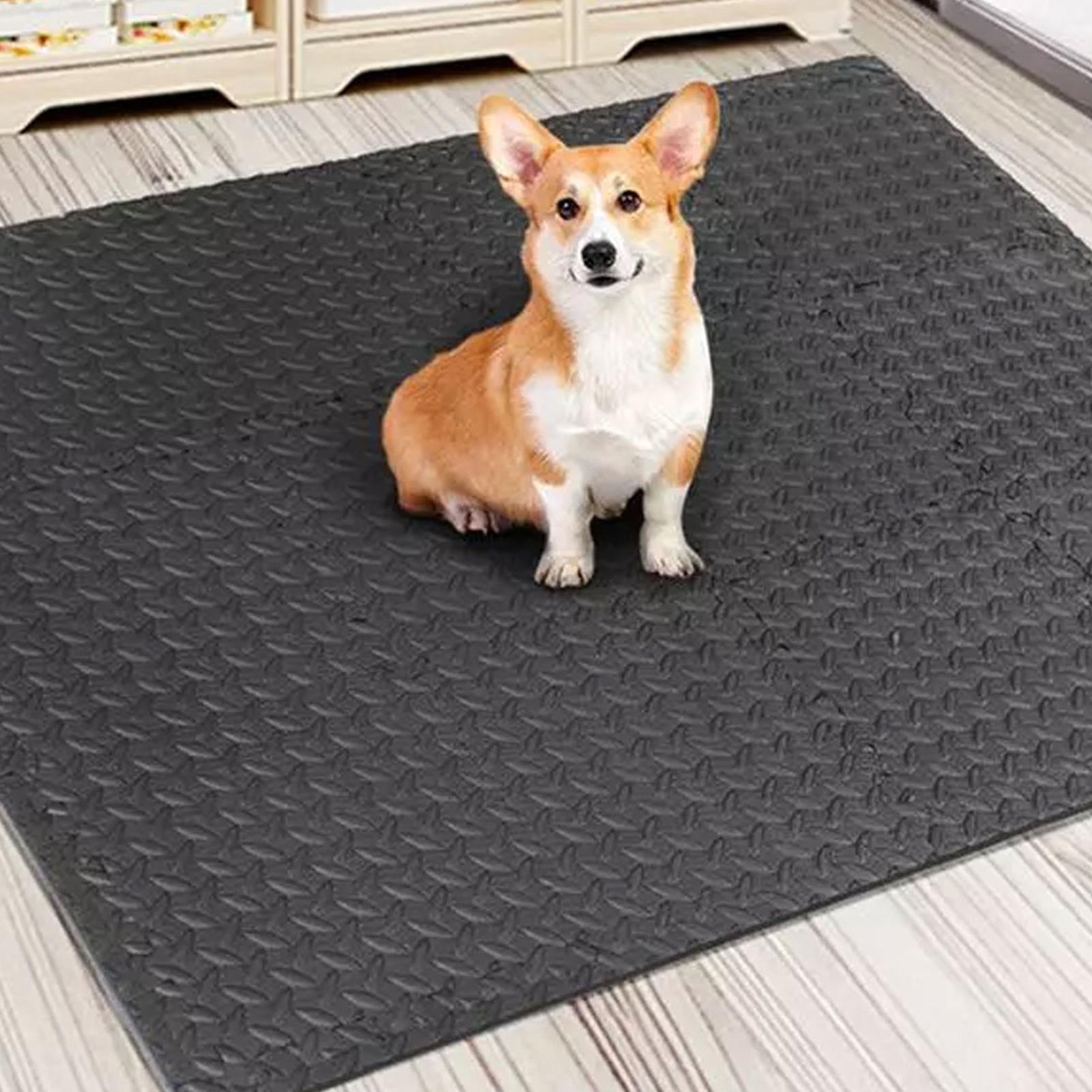 Gym Tiles 12 Pieces Interlocki - Home Gym For Toddlers recension och pris