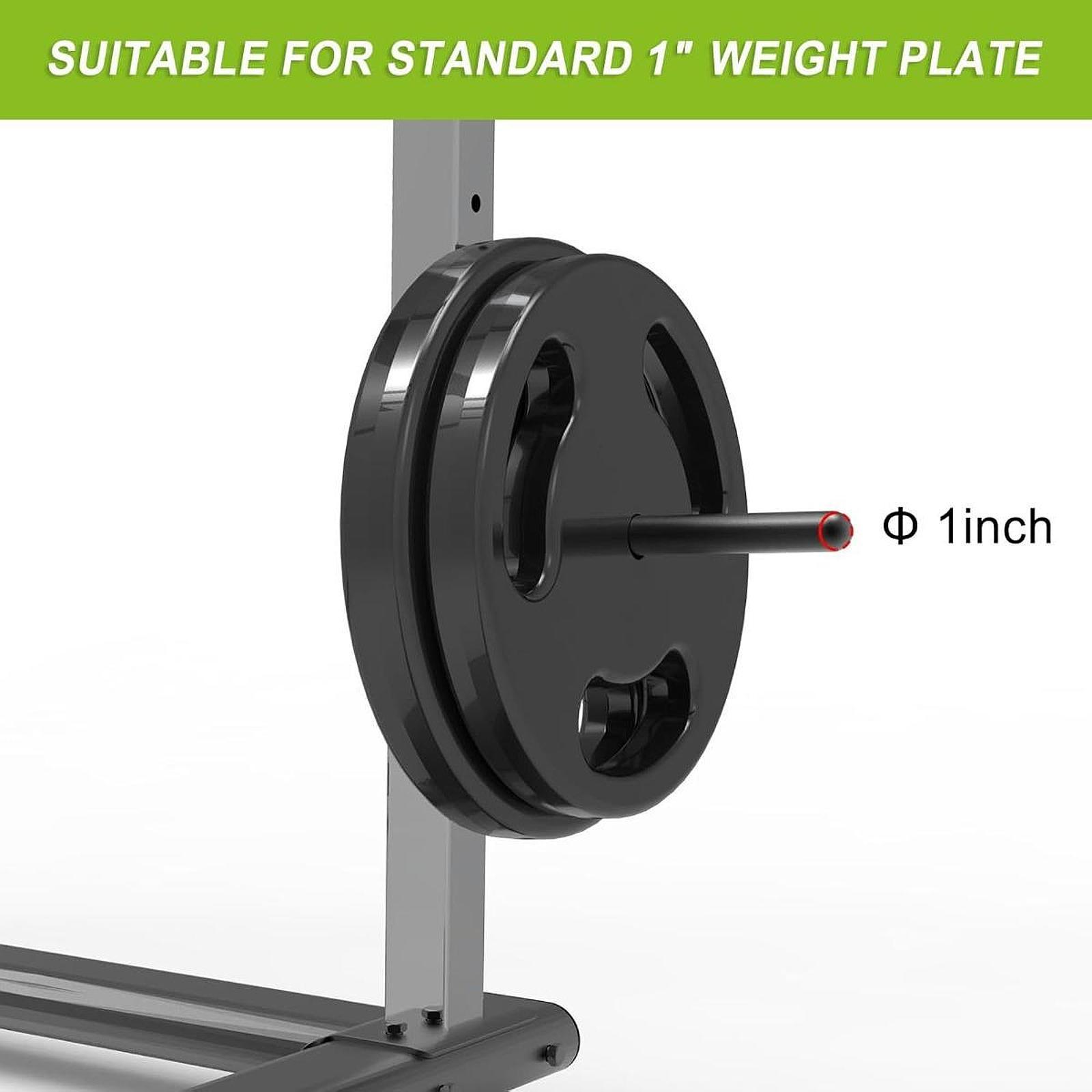 Space Saving Barbell Plate Han - Home Gym Organization recension och pris