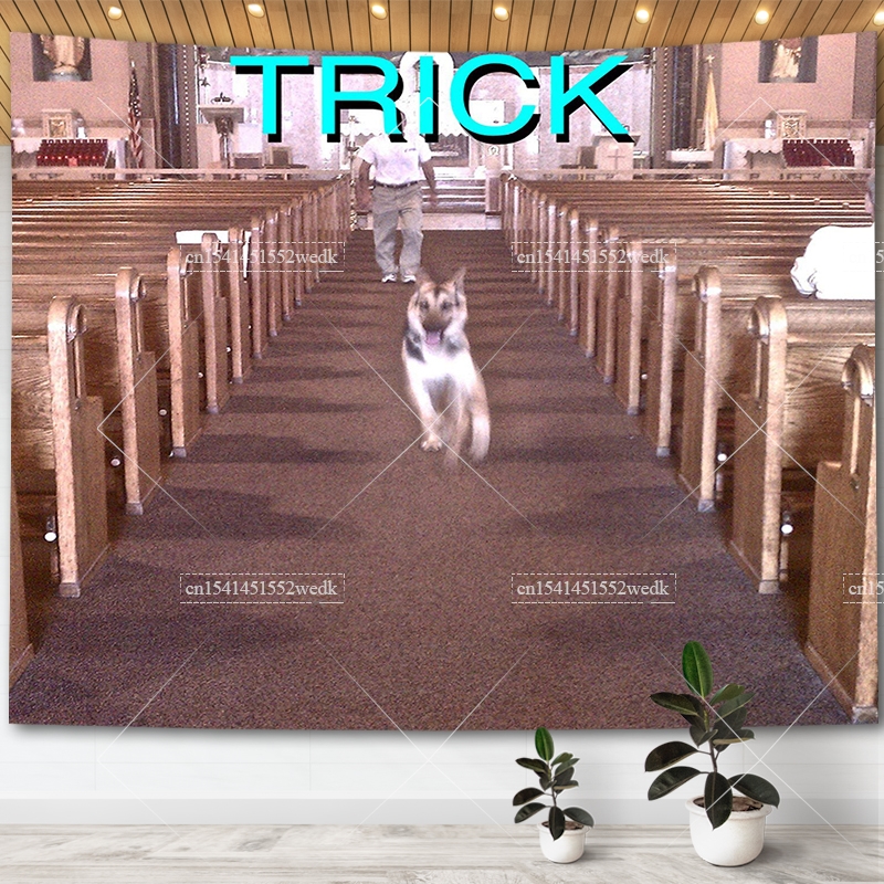 Alex G Trick Album Cover Tapes - Home Gym Decor recension och pris