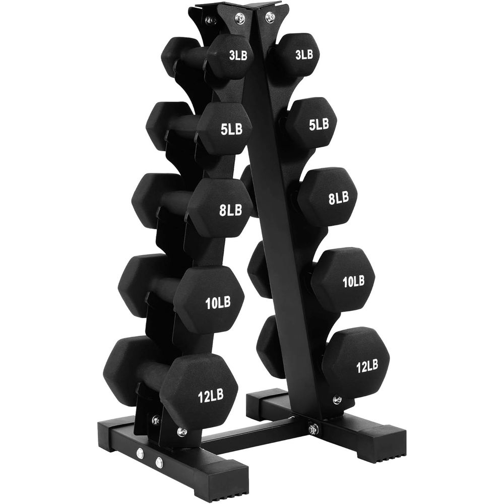 Hex Neoprene Iron Dumbbell Set - Home Gym Dumbbell Set recension och pris